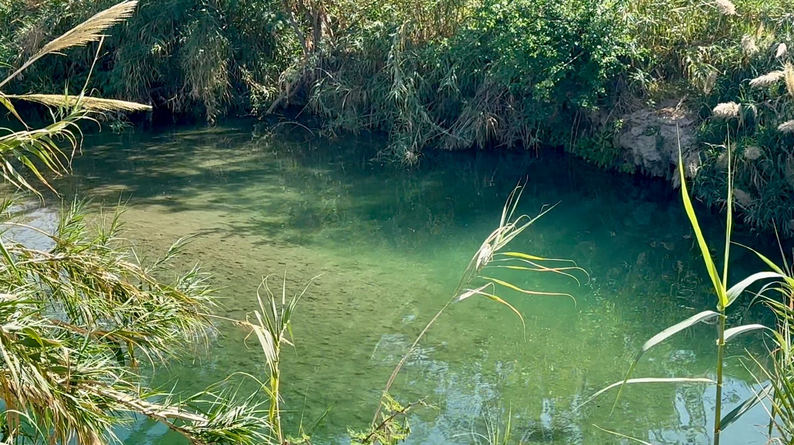 Detectan cuevas y cavernas en laguna del Rio Monclova; alertan por riesgos