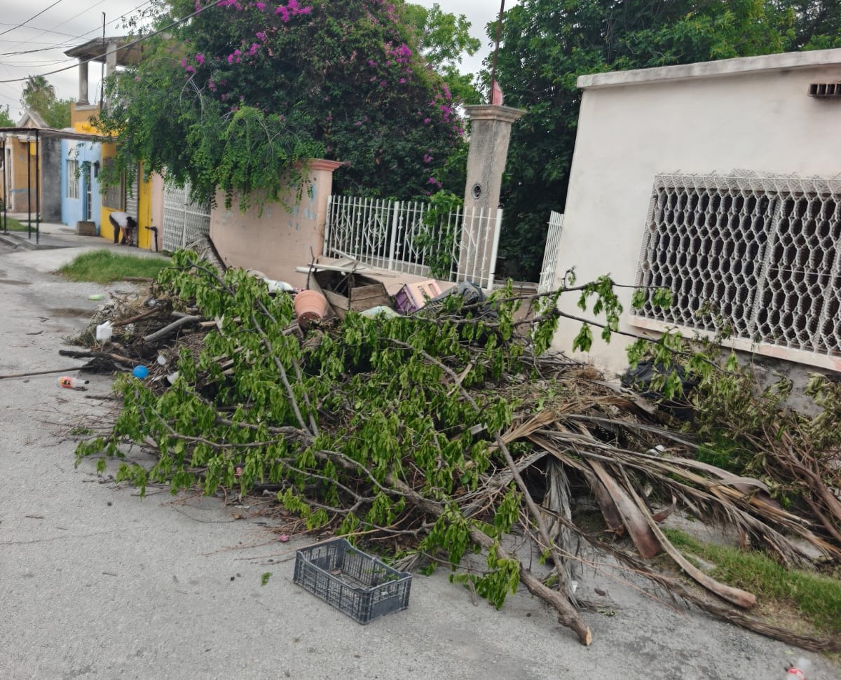 >Ecología de Frontera atiende de 8 a 10 reportes diarios y refuerza acciones coordinadas